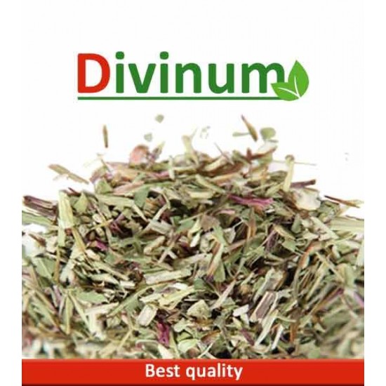 Εχινάκεια 30gr