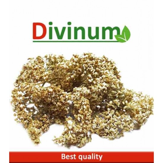 Αχιλλέα 30gr Αχιλλέα 30gr
