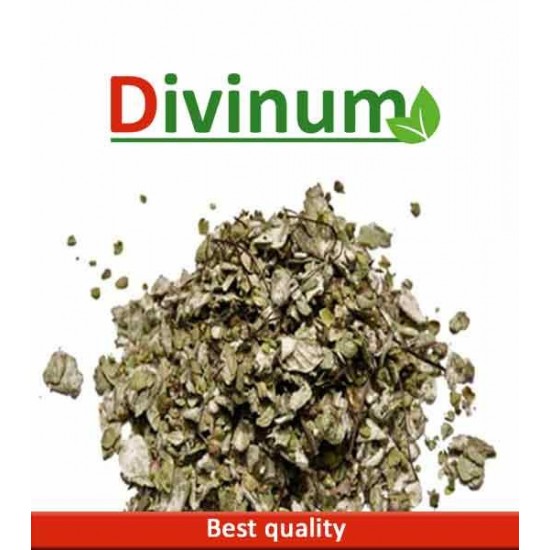 Δίκταμο 30gr Δίκταμο 30gr