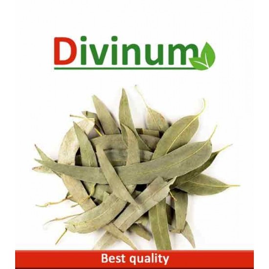Ευκάλυπτος 30gr Ευκάλυπτος 30gr