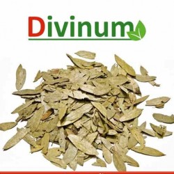 Σιναμική (σέννα) 30gr
