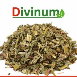 Επιλόβιο 30gr
