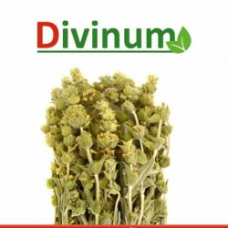 Τσάι του βουνού 45gr