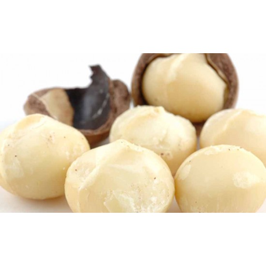 Μακαντάμια Ωμό Ανάλατο 100gr